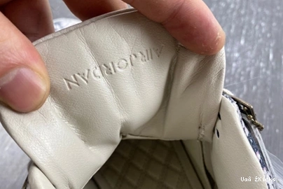 Jordan SportInspired Retro 488 4  819139 030 Snakeskin  1016